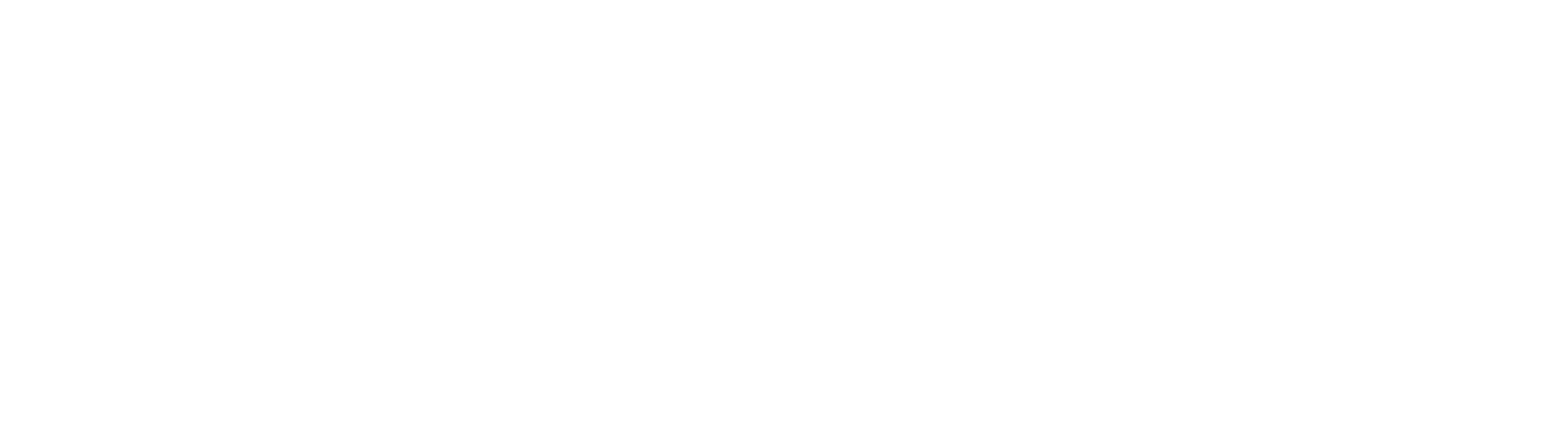 Lasso-x_white_logo