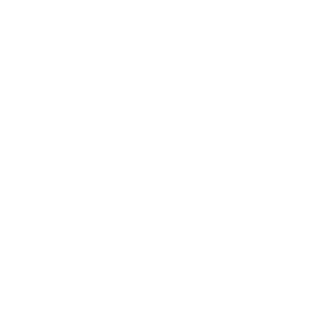 LinkedIn logo in white