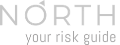 North Risk your Risk guide logo