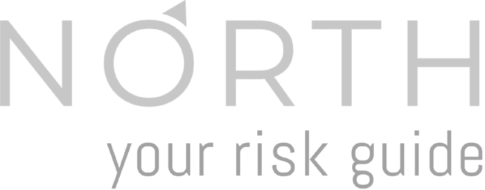 North Risk your risk guide logo