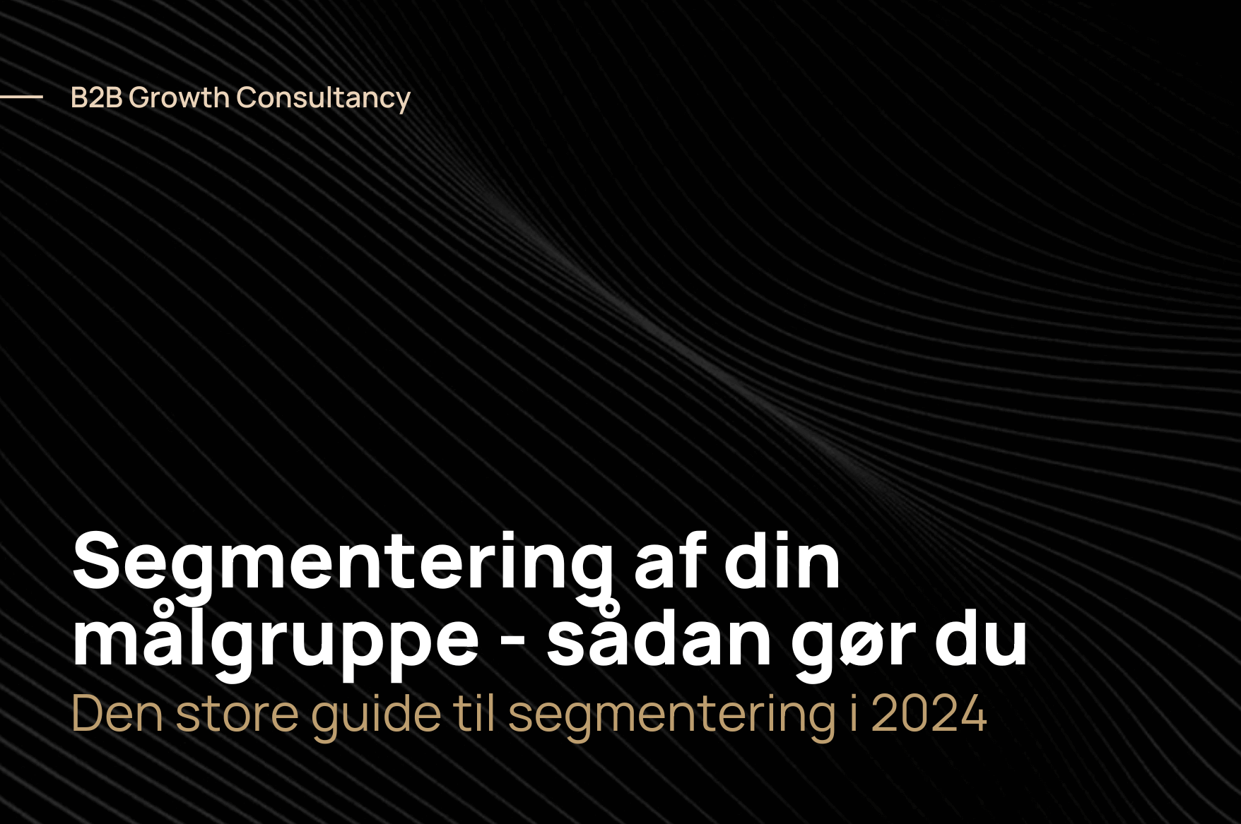 Den store guide til segmentering af kunder