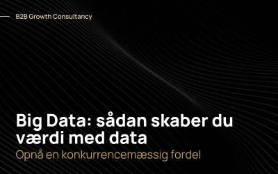 Big Data: sådan skaber data værdi for din virksomhed