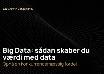 Big Data: sådan skaber data værdi for din virksomhed