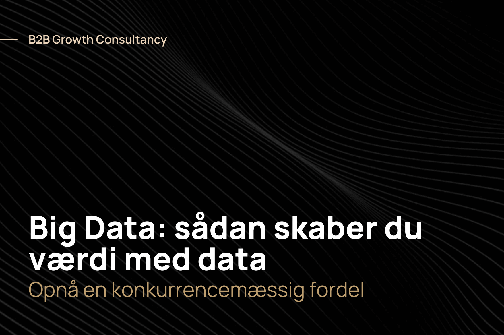 Big Data: sådan skaber data værdi for din virksomhed