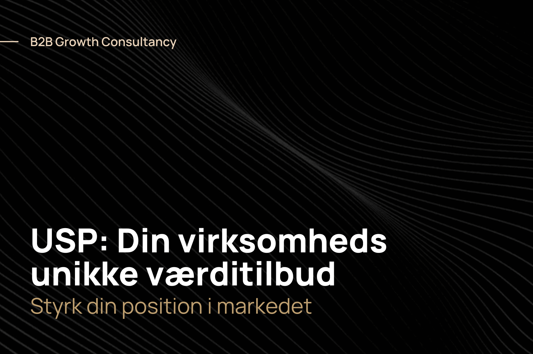 USP: din virksomheds unikke værditilbud