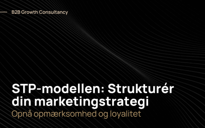 STP-modellen: Segmentering, målretning og positionering