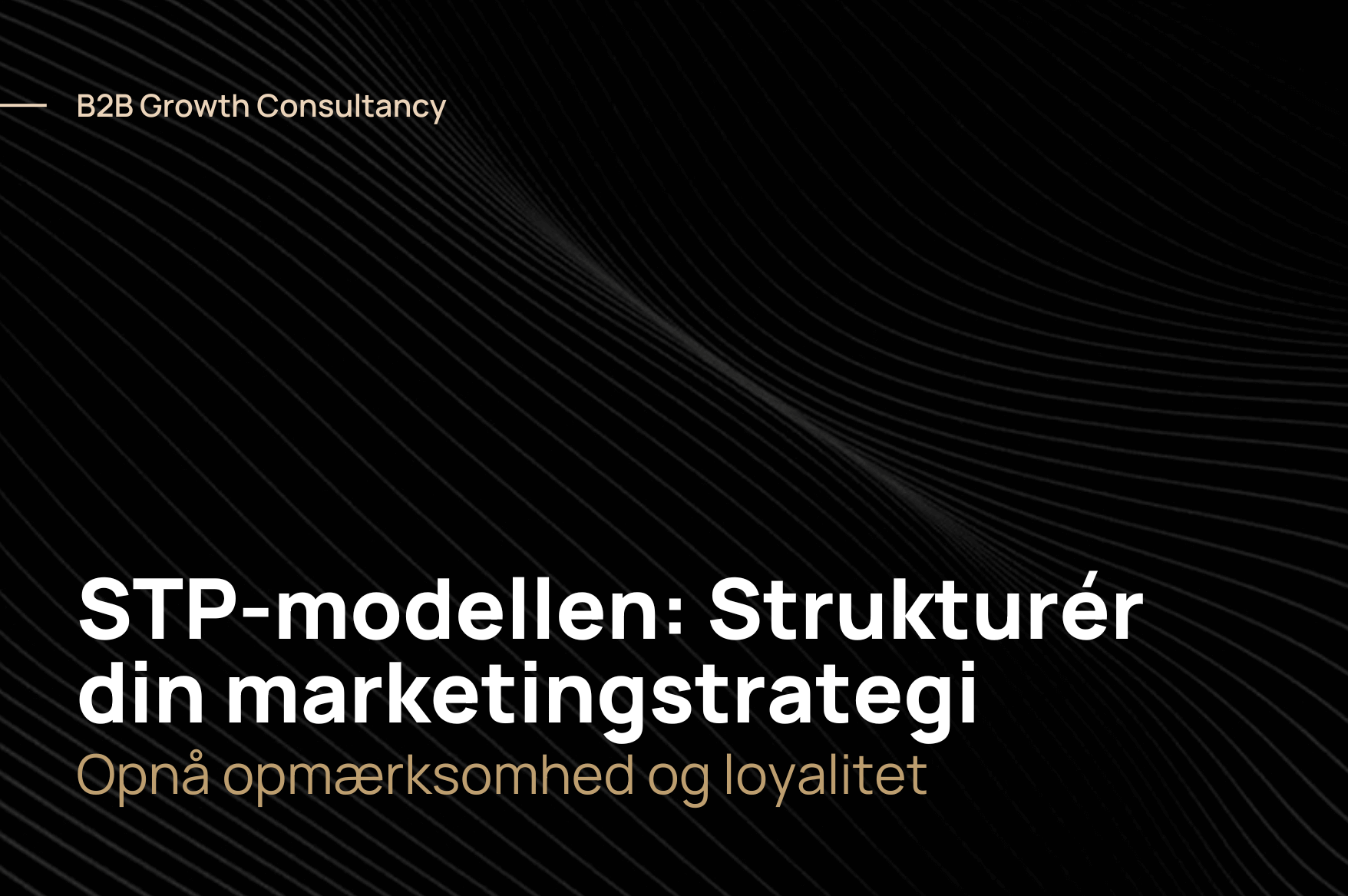 STP-modellen: Segmentering, målretning og positionering