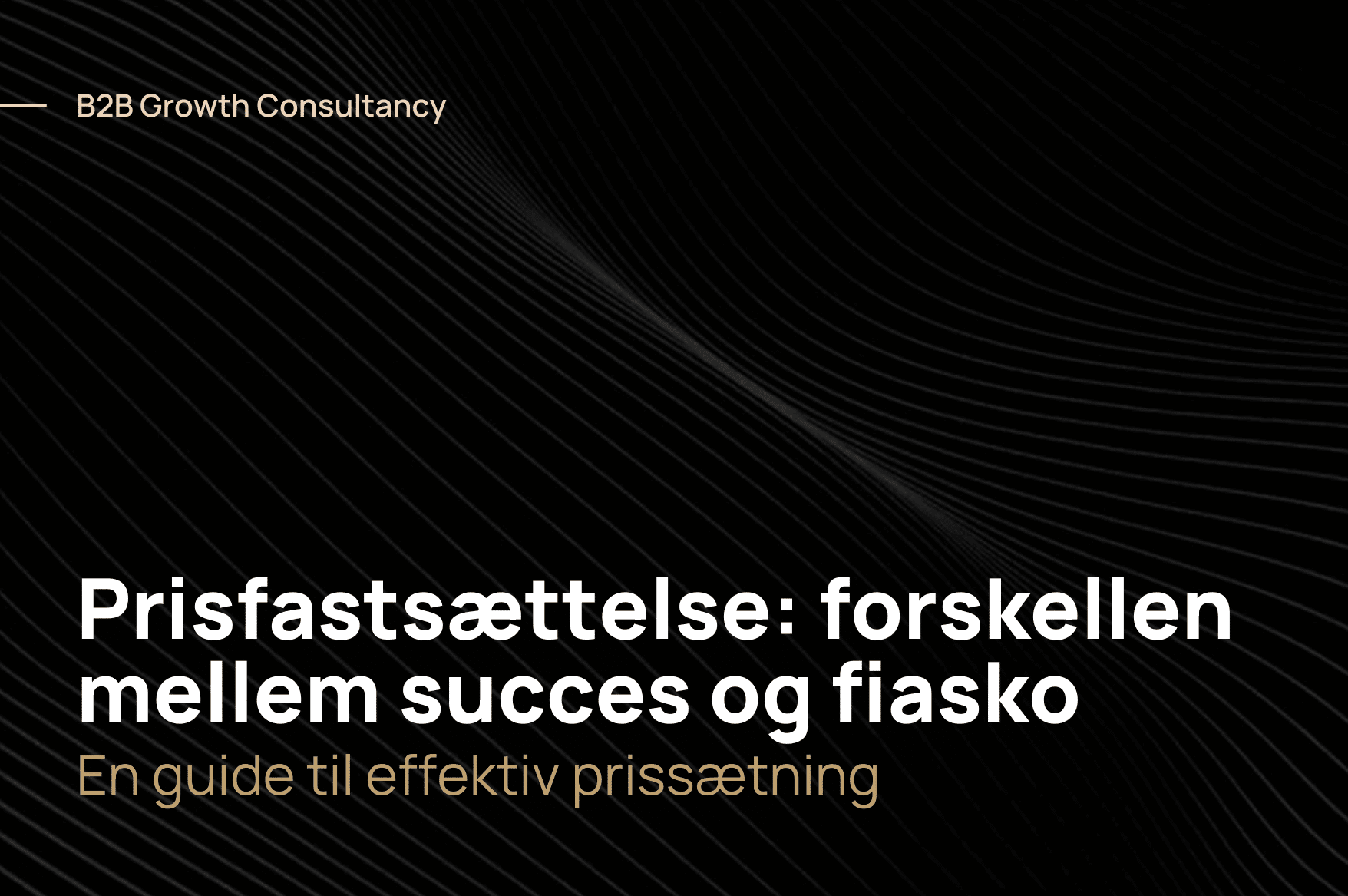 Prisfastsættelse: En guide til effektiv prissætning