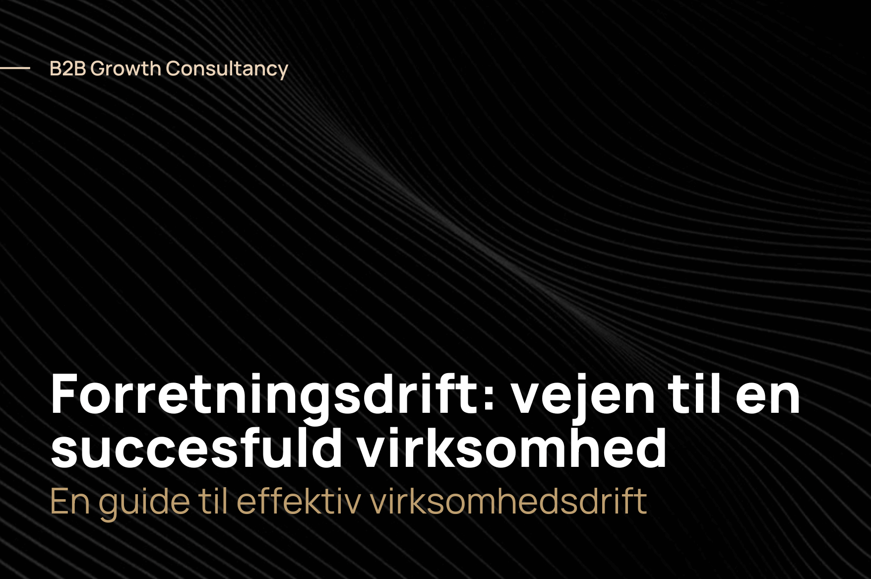 Forretningsdrift: vejen til en succesfuld virksomhed